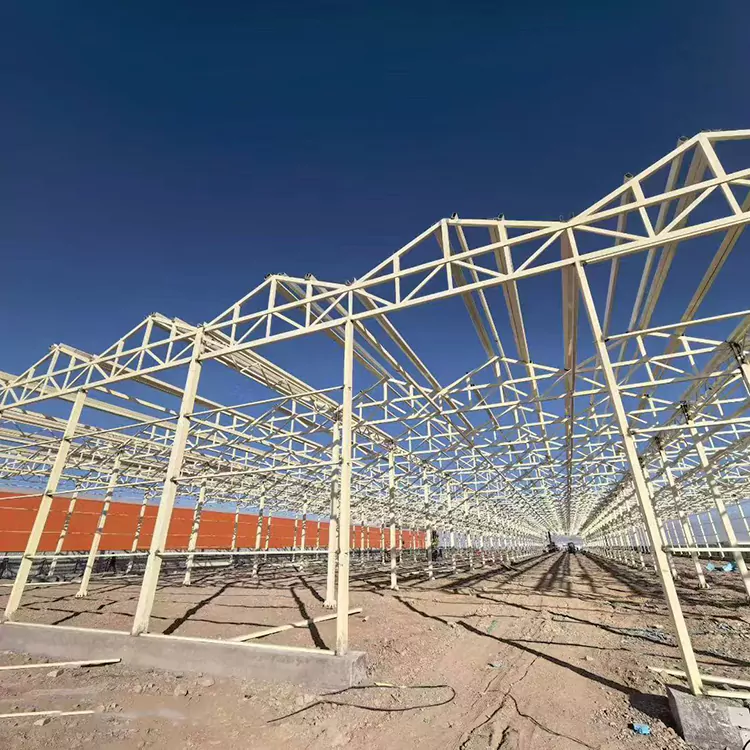 Mengapa Rangka Rumah Kaca Baja Galvanis Pilihan Terbaik untuk Pertanian Modern